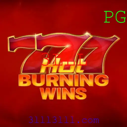 HotBurningWins: Descubra a Emoção do Jogo e as Suas Regras