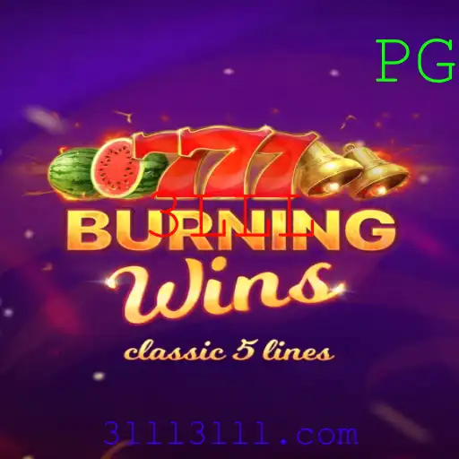 BurningWins: Domine a Emoção dos Slots com Regras Simples e Vencedoras